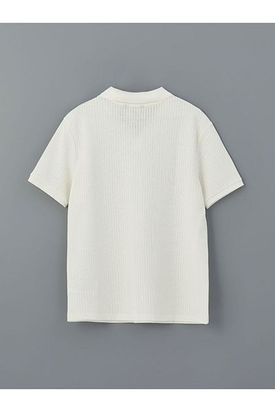 LC Waikiki Νέα σεζόν Polo Neck Kisa Sleeve Ανδρικό Tisort με υφή - S5EI26Z8