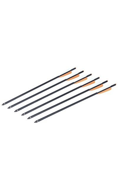 Crosman Carbon Yedek Ok (6 ADET)