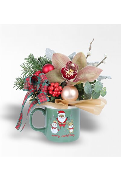 Rosebox Yeşil Yılbaşı Kupasında Orkide Ve Kokina Aranjmanı