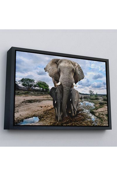 Harita Sepeti Pictură decorativă pe pânză Elefant și puii cu cadru auriu