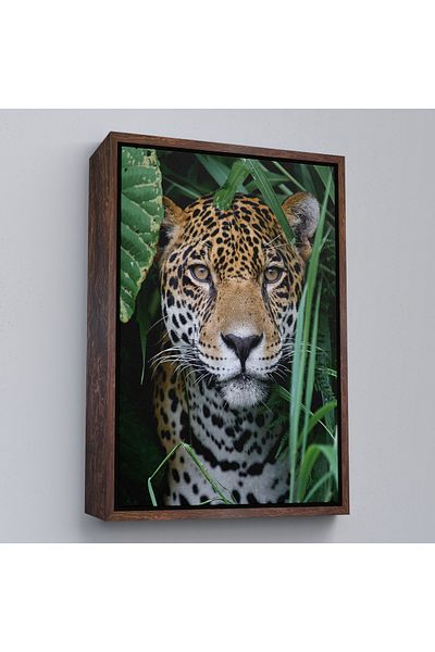 Harita Sepeti Διακοσμητικός πίνακας σε καμβά Leopard με λευκό πλαίσιο
