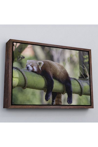 Harita Sepeti Panda roșie cu cadru alb pictură decorativă pe pânză