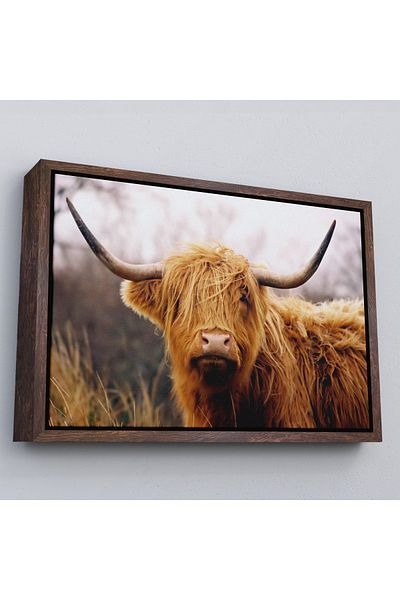 Harita Sepeti Ζωγραφική σε καμβά American Highland Cow με λευκό πλαίσιο