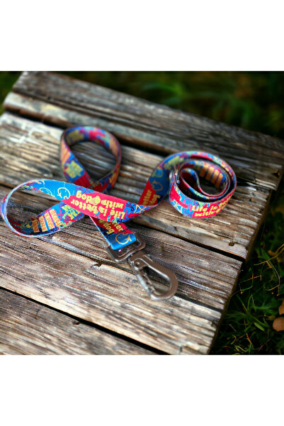 PAWLOOK Köpek Gezdirme Kayışı, Köpek Gezdirme Tasması Mavi