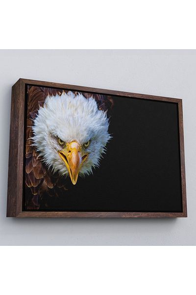 Harita Sepeti Διακοσμητικός πίνακας καμβάς Eagle με καφέ πλαίσιο