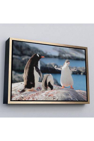 Harita Sepeti Διακοσμητικός πίνακας σε καμβά Happy Penguins με χρυσό πλαίσιο