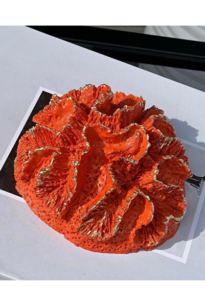 Missy Home Mercan Küçük Boy