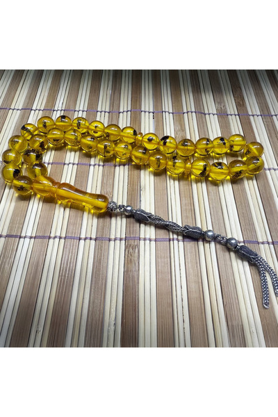 Jewel Collectible Ant Fossil Rosemary with Special Box