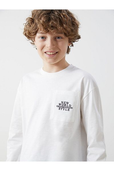 LC Waikiki Crew Neck Boy's T-Shirt