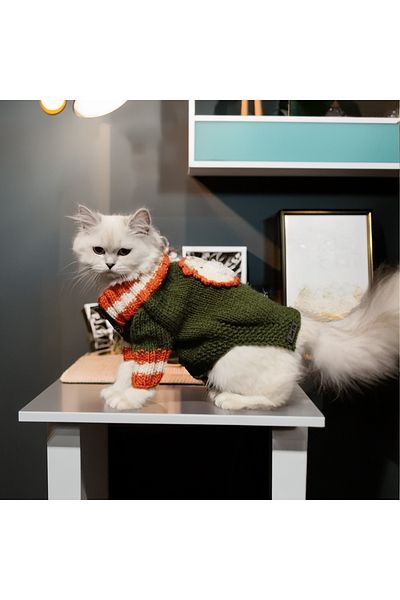 Lady Fify Green Cardigan with Lion for Cat Dog