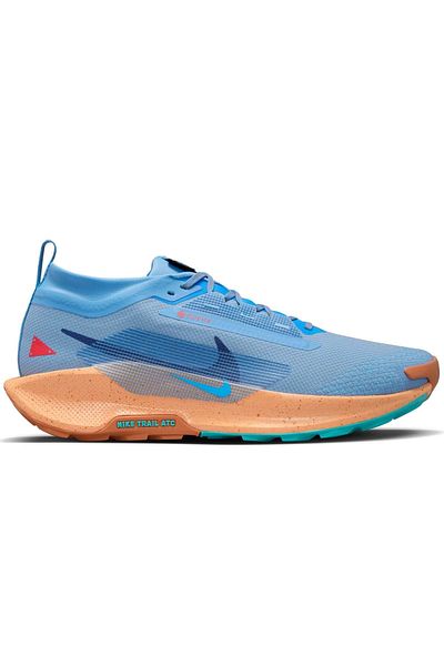 Nike Pegasus Trail 5 GTX - FQ0908-400
