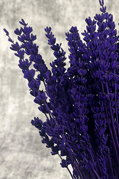 Goya Home Mor Lavanta Gelin Buketi Aranjman Çiçeği Süslük Vazoluk Magnetlik Hediyelik Kuru Çiçek