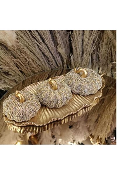 AC STORY TAŞLI KABAK BİBLO