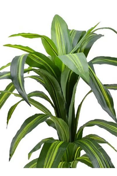 co arma Artificial tree simulation soft corn tree with natural texture 100cm high