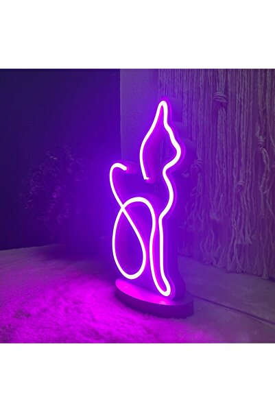 Kedi Figürlü Neon Gece Lambası – USB & Adaptör Uyumlu, Dimmer Kumanda Seçenekli