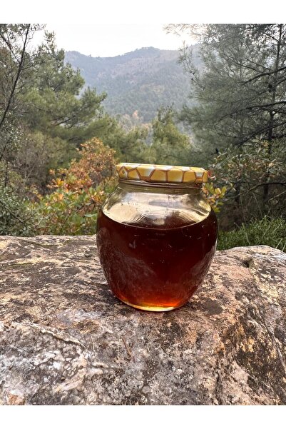 Balkovan Doğal Organik Çiçek Balı 450gr.