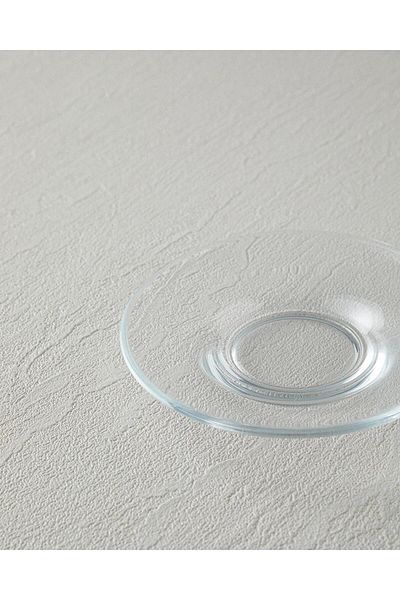 English Home 4-Piece Fitted Glass Tea Plate Transparent