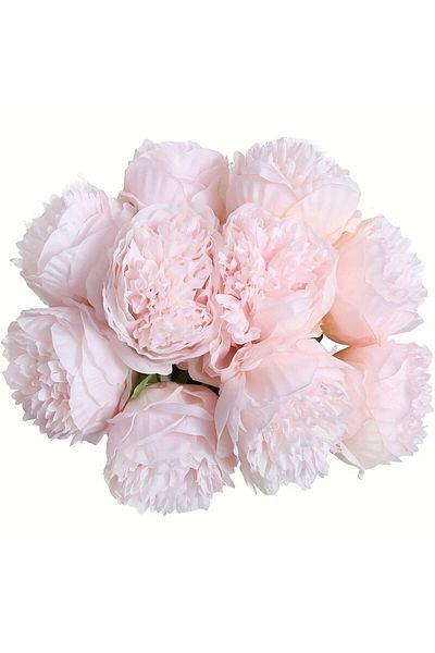 Choice 5PCs Light pink 5 Simulated Peonies, Artificial Flowers for Living Room and Bedroom Decoration, Hold