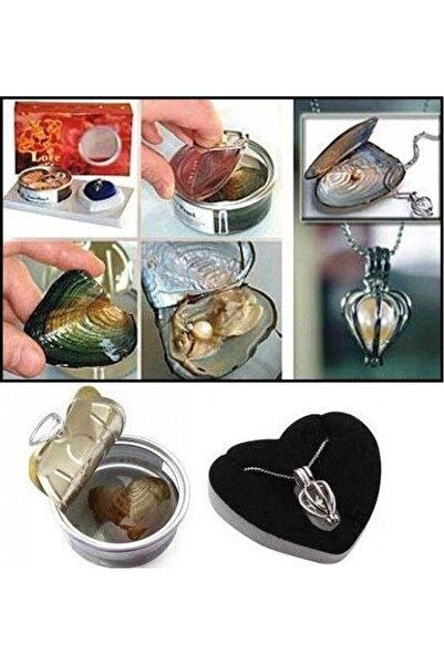 Lexi Bella Kadınlar Gününe Özel Sevgiliye Şık Hediye İstiridye İçinden Çıkan ...