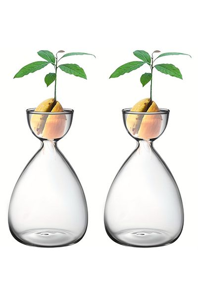 Choice Clear-2pcs 2pcs Small Avocado Seed Starter Vase, Avocado Tree Growth Kit, Avocado Glass Planter Vase