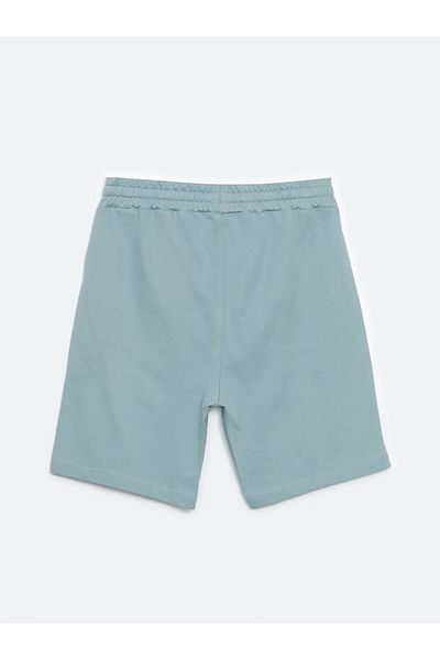 LC Waikiki Ανδρικό σορτς LCW Standard Mold