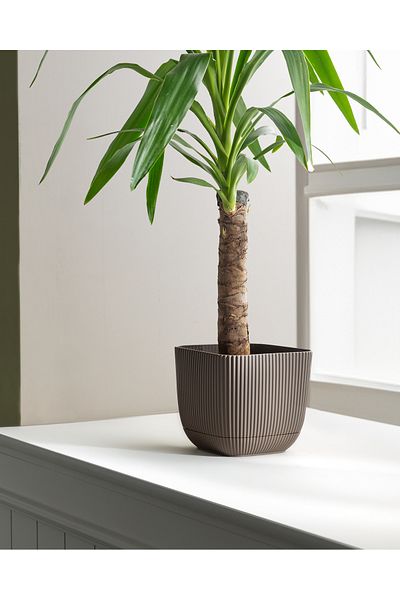 Madame Coco 1800 ml Abella Flower Pot