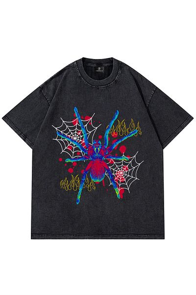Trendiz Unisex Spider Washed Grey Tshirt