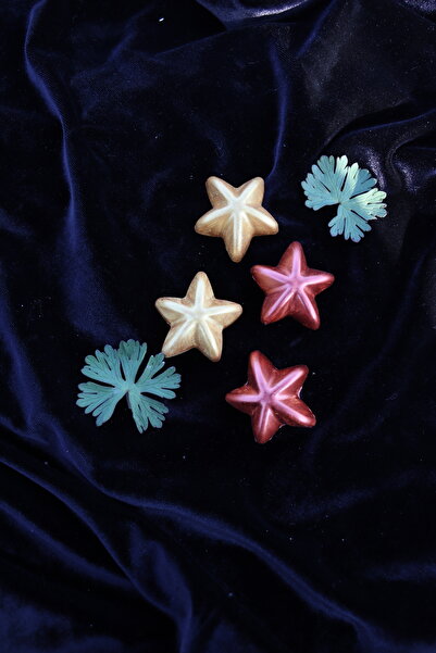 Assa Wood 4 lü Deniz Yıldızı Magneti - Buzdolabı Magneti - Buzdolabı Süsü-Mık...