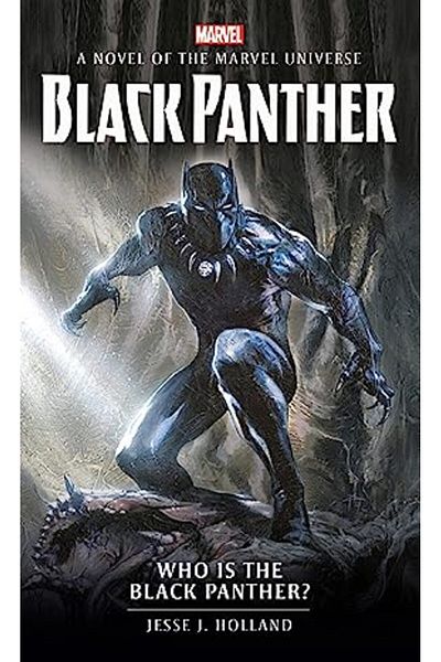 Titan Who is the Black Panther?  Paperback