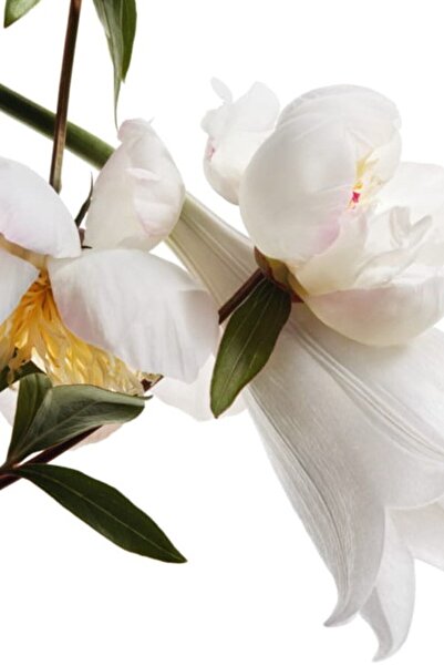 Yves Saint Laurent Mon Paris Edt 90ml for women3614271681898