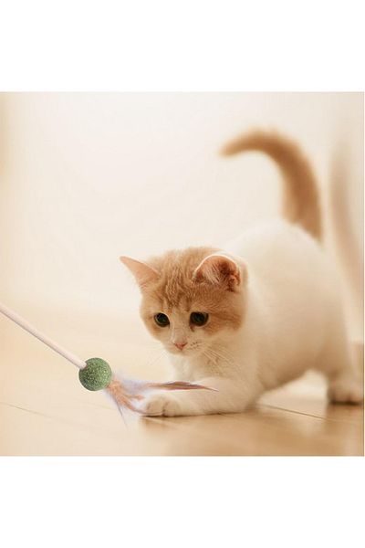 Pribor Furry Cat Play Rod - Mint