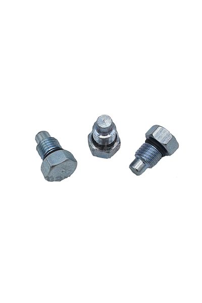 EXPERT Caliper Piston Fixing Bolt Renault Master Ii / Citroen C5 (10 Pcs)