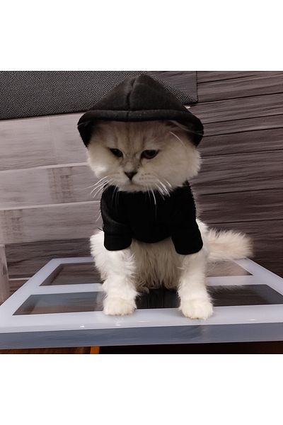 Lady Fify Black Hooded Sweatshirt for Cat Dog