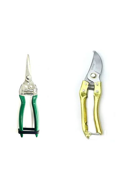 Worldtec 1.Good Quality Vineyard Shears - Grape Citrus Pruning Shears