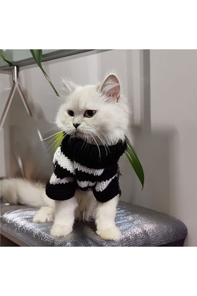 Lady Fify Turtleneck Black and White Fan Sweater for Cat Dog