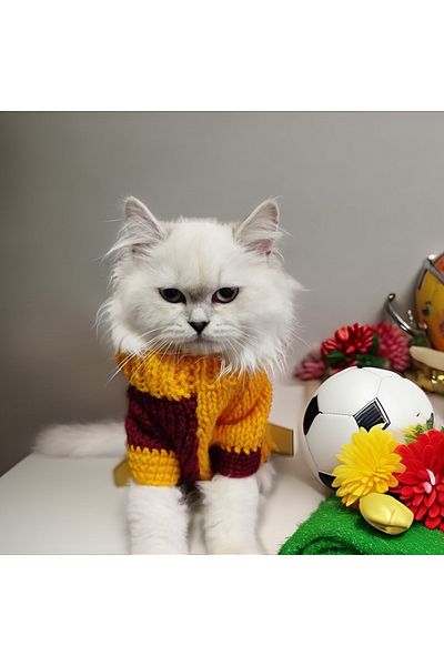 Lady Fify Yellow Red Wool Sweater for Cat and Dog