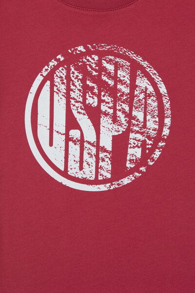 U.S. Polo Assn. Boy's Cherry Basic Crew Neck T-Shirt 50306514-Vr223