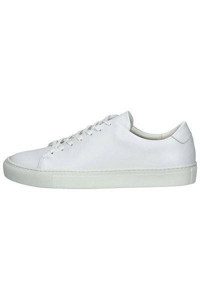 Sneaky Steve Sneaker