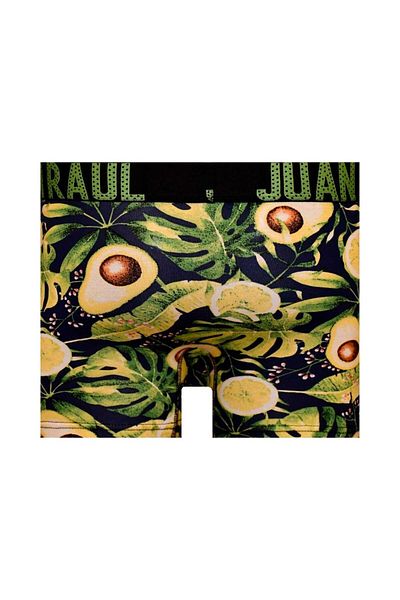Juan Raul Tropical Avocado Patterned Men's Boxers - Db224