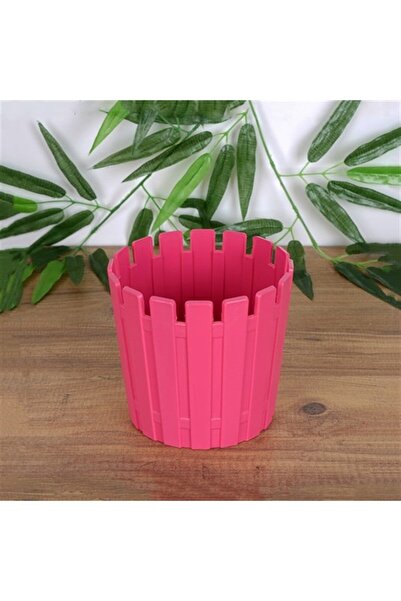 PetGrow Plastik Akasya Kaktüs Saksı-5,5