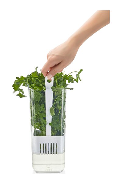 VİP AHMET Square Greenery Storage Container, 1700 ml - 3 Pieces