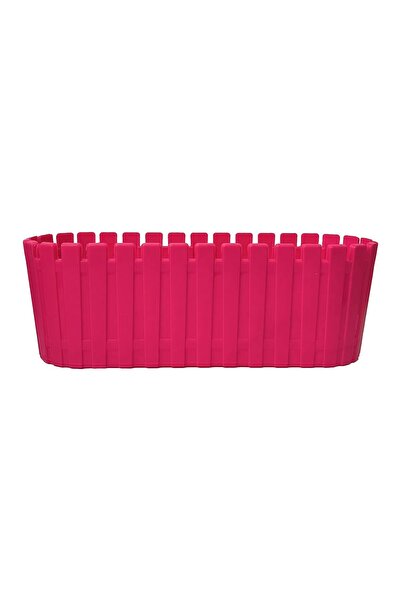 PetGrow Plastik Akasya Kaktüs Triple Saksı-5,5