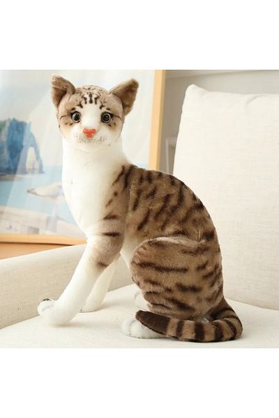 Choice 20cm 1 Cute Plush Cat Doll Soft Stuffed Animal Plush Kitten Toys for Children Cartoon Kids Girl Baby