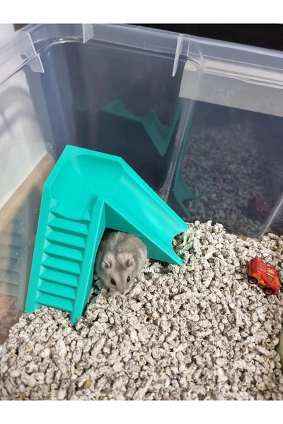 MDİZMİR Hamster Oyuncak Merdivenli Kaydırak - Mavi Renk