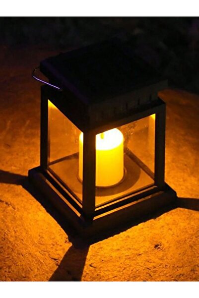 Choice 0-5 واط أبيض دافئ 1 قطعة ديكور حديقة أضواء خارجية تعمل بالطاقة الشمسية...