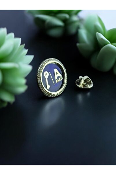 Kuyumcudan Anahtar Parti Yaka Rozeti ( Taşlı 925 Ayar Gümüş )