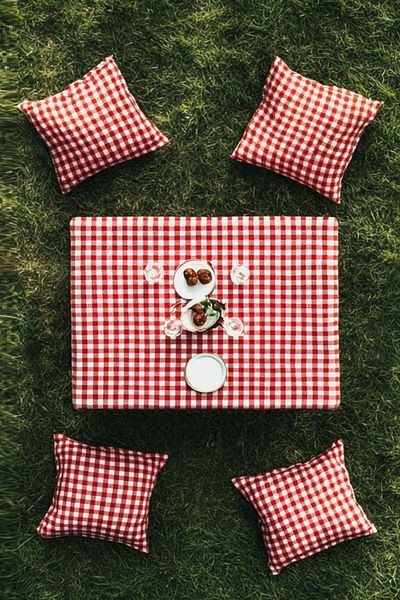 PARİS HOME 4 Pcs Cushion & 1 Pcs Picnic Mat Checkered Tablecloth Tableware Cloth Multi-Purpose Cover