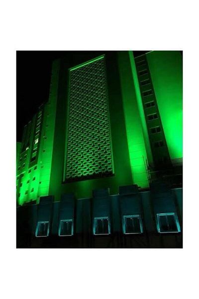 Ensa Green Led Wallwasher - 9W 30cm Duar Painting