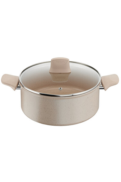 TEFAL ديلايت | قدر طهي 24 سم | طلاء غير لاصق | مؤشر حرارة | هيكل من الألومنيو...