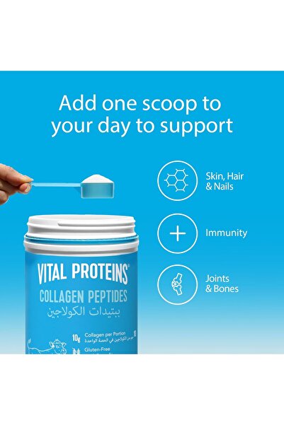 Vital Proteins بروتين كولبيب حلال من فيتال بروتينز، 284 جرام، الكولاجين، مسحوق